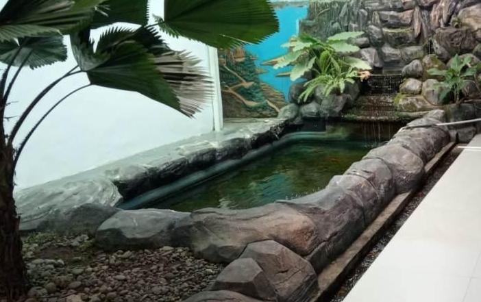 KOLAM IKAN