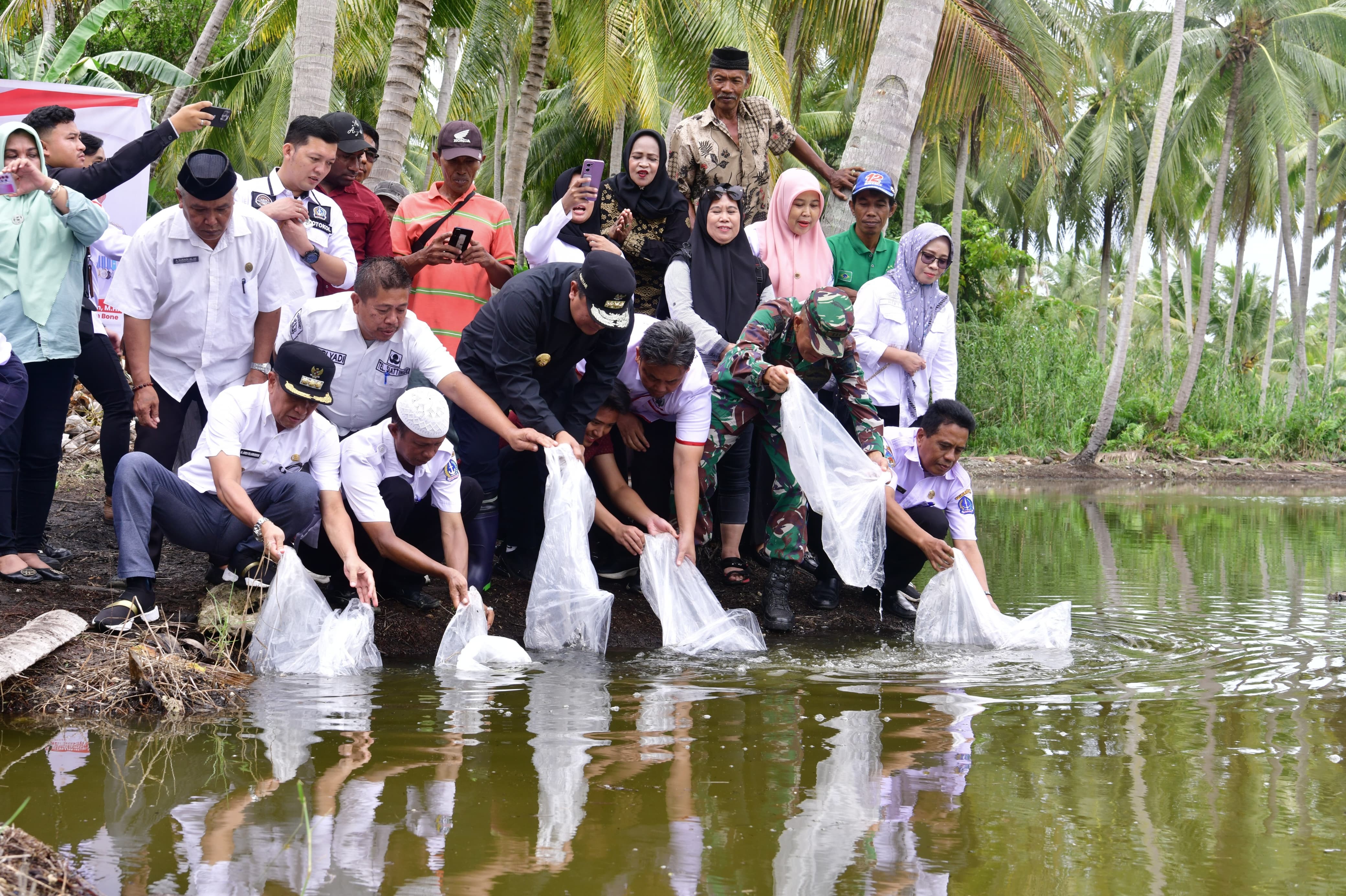 HINGGA HARI INI, SUDAH 2,1 JUTA BENIH IKAN TAWAR DITEBAR DI BONE