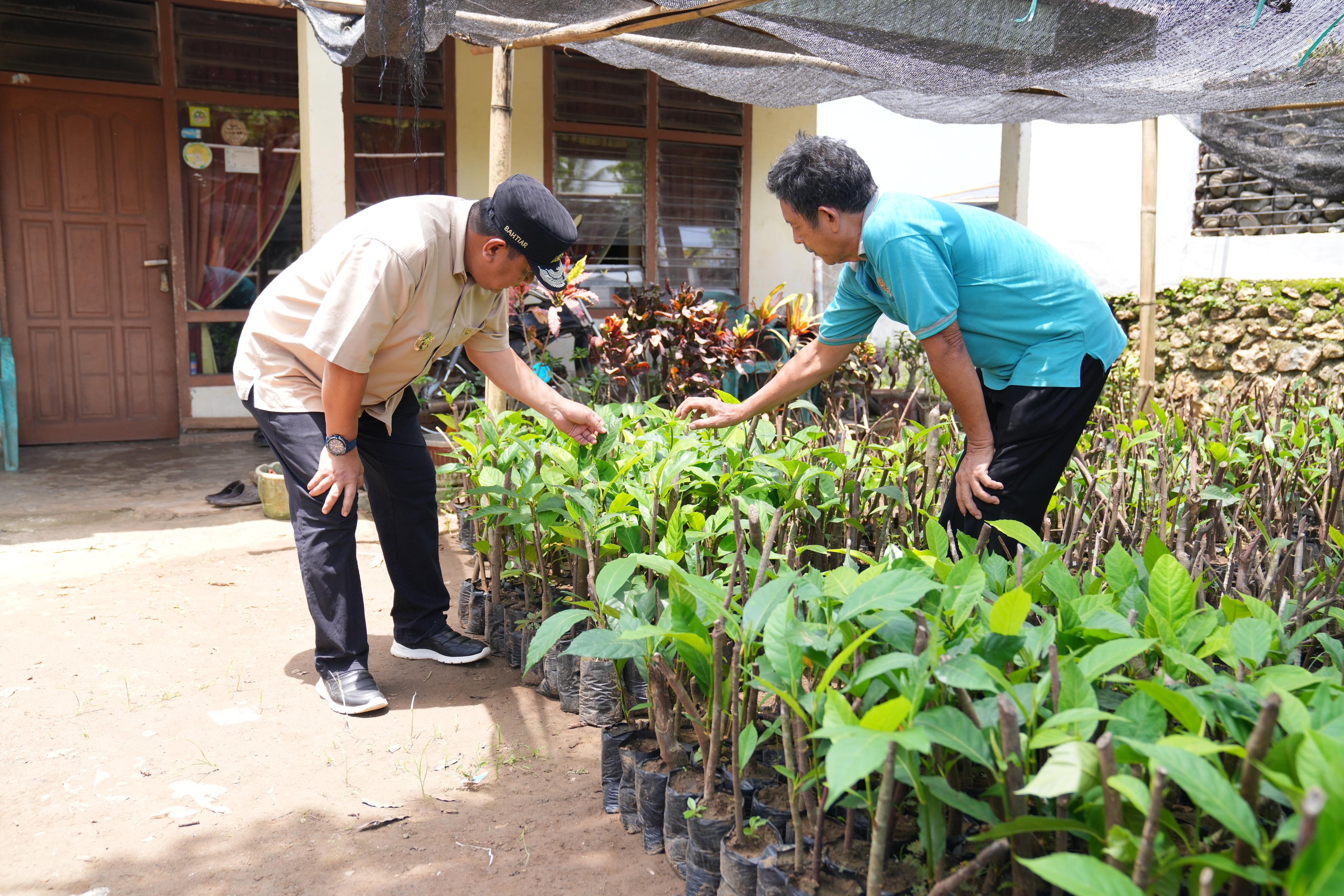 Pj. GUBERNUR SULSEL CEK LOKASI DI PEMBIBITAN SUKUN YANG DIINISIASI KELOMPOK TANI DESA SAMAENRE