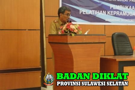 Laporan Penyelenggara